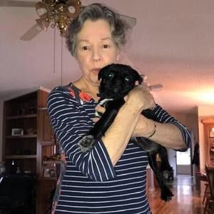 Meet your Posher, Barbara